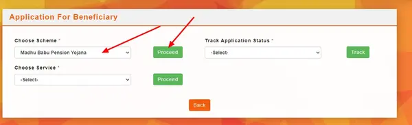 Madhu Babu Pension Yojana Application for Beneficiary